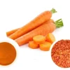 Bột Cà Rốt